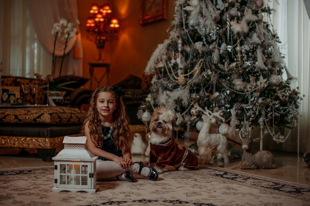 holdiay ingerichte kamer met kerstboom