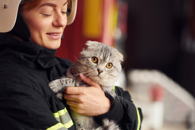 美しいスコティッシュフォールド猫を抱いて制服を着た女性消防士が署で勤務中