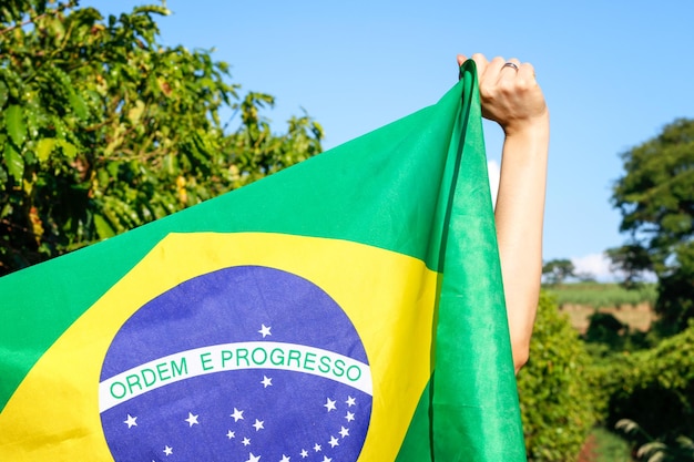 Photo holding the brazilian flag in the wind