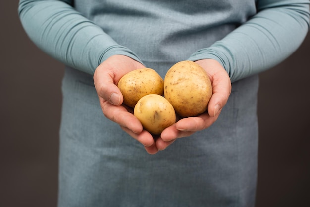 Держа в руке свежий органический картофель, готовьте здоровую пищу с овощным урожаем.