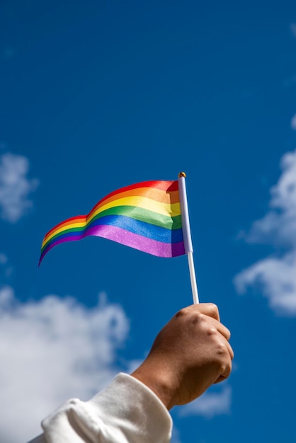 Holding gay pride symbol rainbow flag