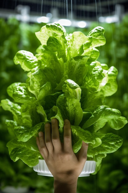 Holding leaf lettuce in a pot in an indoor facility in the style of fiberpunk machinelike precision