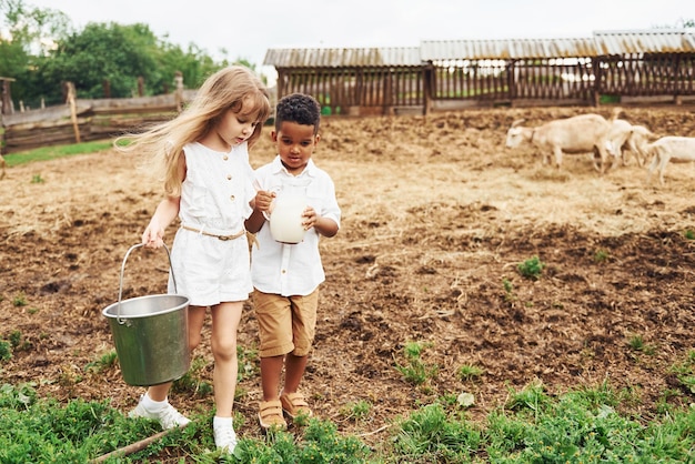 ミルクを持っているヨーロッパの女の子とかわいいアフリカ系アメリカ人の男の子が農場にいます