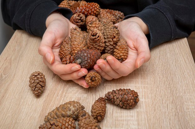 Holding Pine Cones in Hands