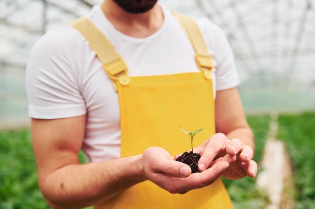 Holding plant in hands Young greenhouse worker in yellow uniform have job inside of hothouse