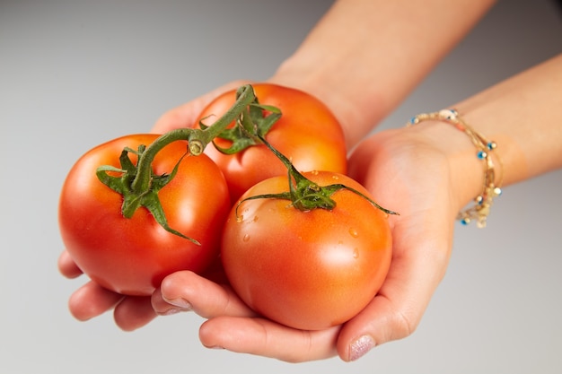 Tenendo i pomodori isolati su uno sfondo grigio chiaro