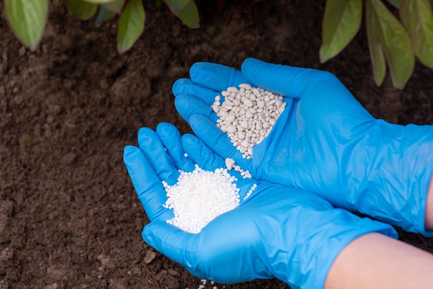 茂みの近くで2種類の肥料を手に持つ 複合NPK肥料と窒素粒状肥料で植物を丈夫で健康に