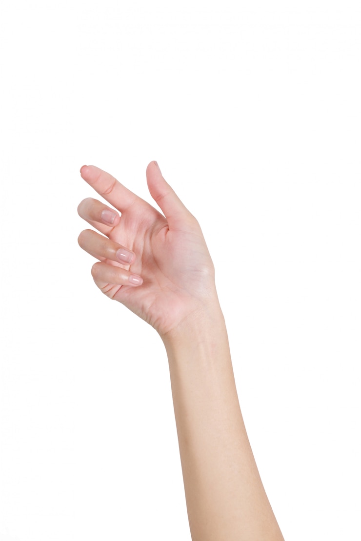 Holding van de vrouwen de lege die hand met voorhandkant op wit wordt geïsoleerd