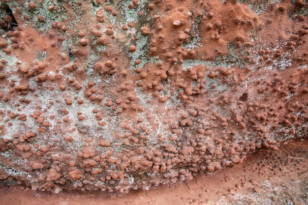 Holes in stone Tafoni weathering in red sandstone