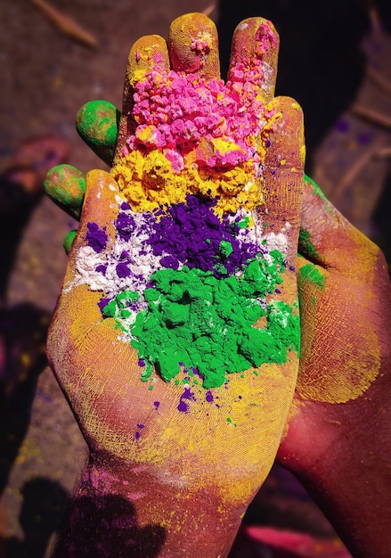 Foto holi beelden