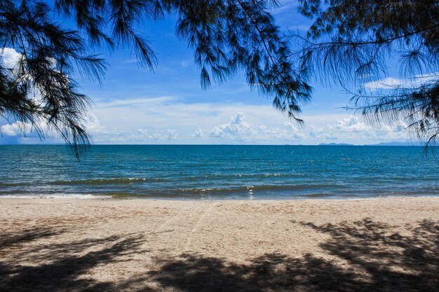 Holiday beach and tropical sea