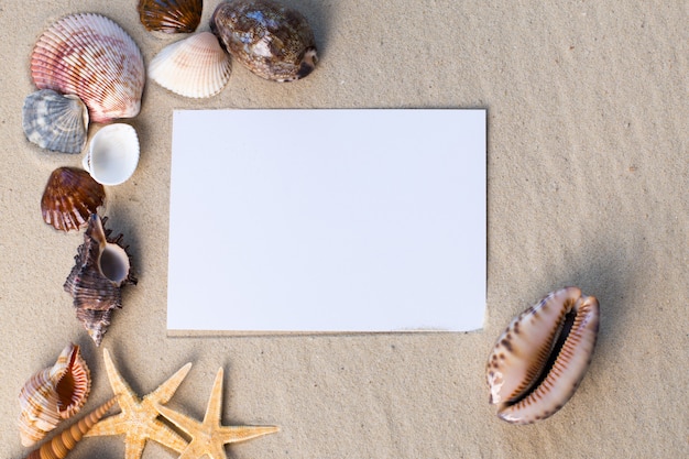 Photo holiday beach  with shells, seastars and an blank postcard