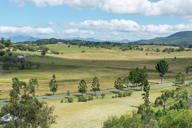 Foto holiday drive to scenic rim region rolling hills cattle green grasses and peaceful scenery