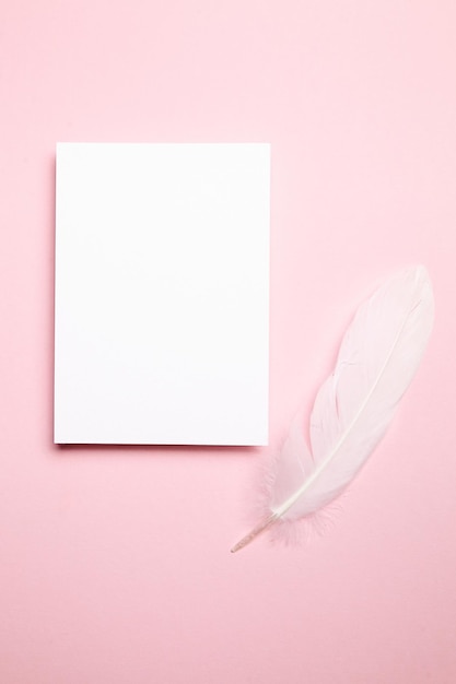 Holiday greeting card mockup with white feather on light pink background top view flat lay Blank wedding invitation or Valentine Day letter mockup