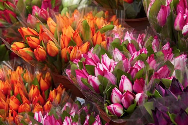 Голландия, Амстердам, Цветочный рынок, продажа искусственных голландских тюльпанов