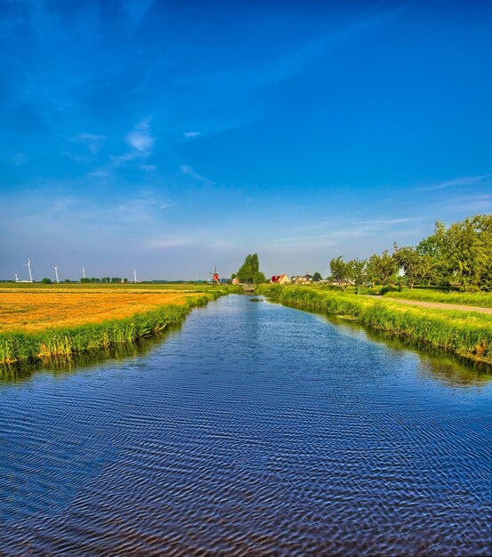 Hollands landschap met een gracht en grasvelden