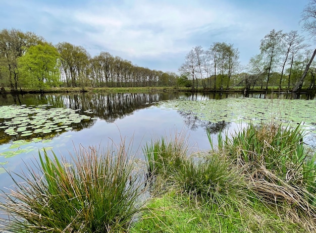 Hollands landschap op een bewolkte dag in de lente