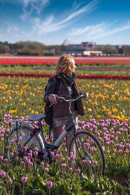 Foto hollandse tulpen