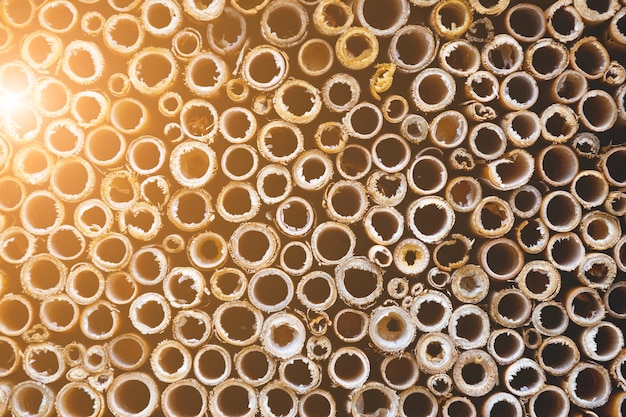 Hollow dried stems stacked tightly together for background abstraction