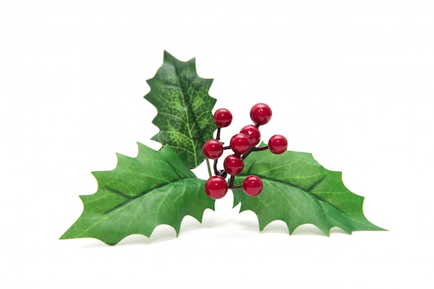 Photo holly berry leaves christmas decoration isolated
