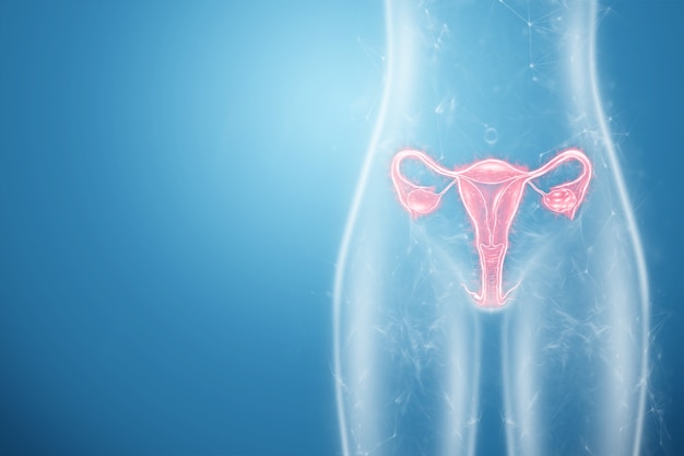 Голограмма женского органа матки, заболеваний матки и яичников, менструальных болей. Медицинский осмотр, женская консультация, гинекология. 3D иллюстрации, 3D визуализация.