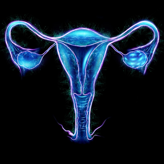 さまざまな医学的適応症を伴う子宮の女性の臓器のホログラム、子宮の超音波。超音波の概念、婦人科、産科、排卵、妊娠。 3Dイラスト、3Dレンダリング。