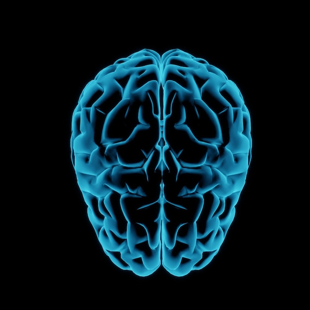 hologram glow blue light human brain isolated on black background. concept of intelligence brain