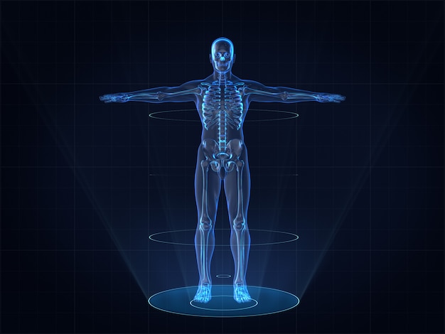 Hologram image of human male skeleton