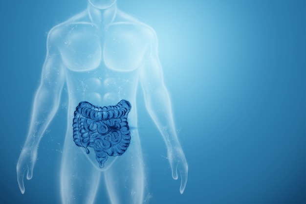 A holographic projection of a scan o. intestine on a blue background.