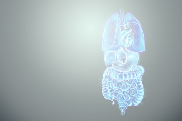 Holographic projection of scanning of human internal organs. 