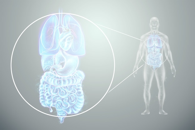 Foto proiezione olografica della scansione degli organi interni umani.