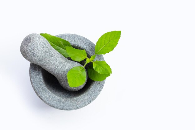 Holy basil leaves in rock mortar with pestle on white