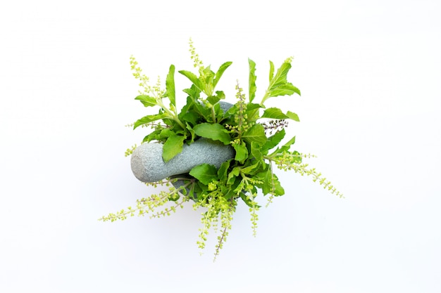 Photo holy basil leaves with flower in stone mortar and pestle on white