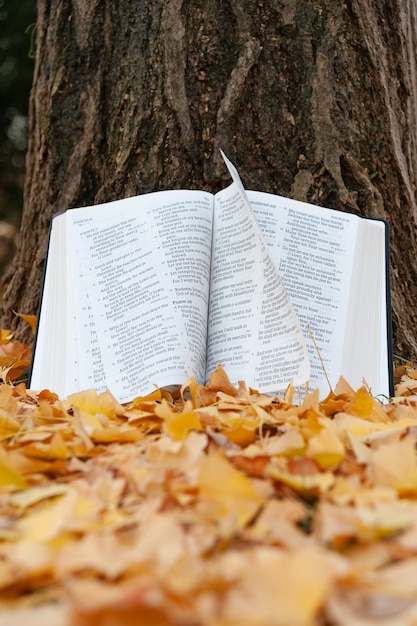 Holy Bible opened in Psalms on tree trunk with pages turning in the wind in Japanese autumn with fallen yellow leaves. Vertical shot.