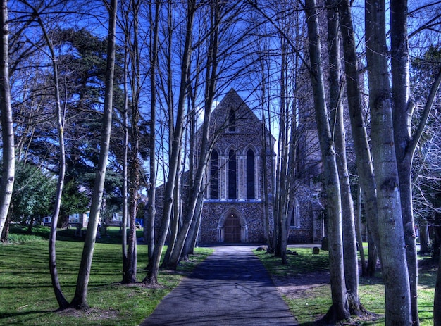 Photo holy trinity halstead essex  avenue of trees