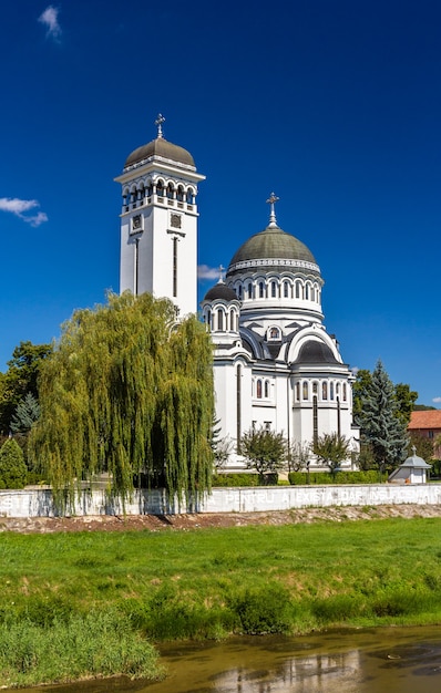 Holy Trinity Orthodox Cathedral in Sighisoara, Roemenië