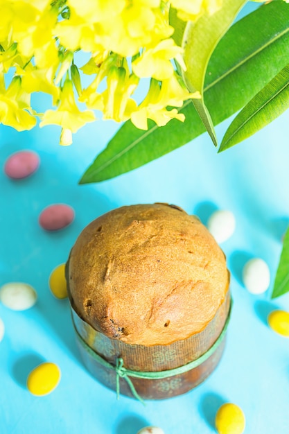Foto panettone al forno fatto in casa, uova di caramella al cioccolato sparse sul tavolo blu con fiori gialli.