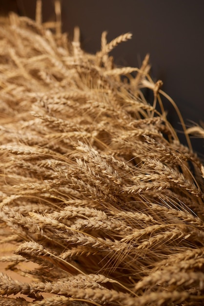 Home decor natuurlijke achtergrond rijpe graanoren in lage scherptediepte en warme tinten