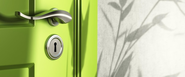 Home entrance, close up of a handle and keyhole, green door and a wall, shadow of leaves