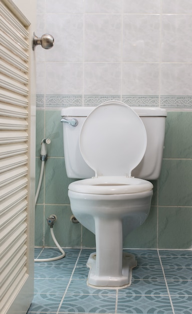 Home flush toilet