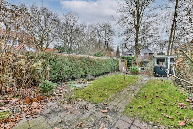 Home garden in autumn with gold leaves and grass