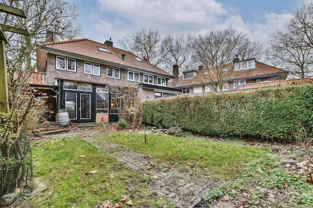 Home garden in autumn with green wall and view of house