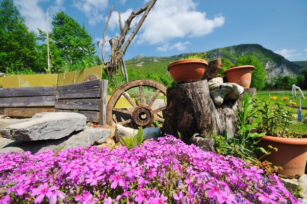 home garden with beautiful flower decoratin at spring season