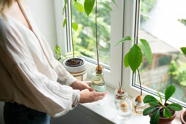 Foto concetto di giardinaggio domestico donna irriconoscibile che tiene un vaso retrò con pianta di avocado che cresce in acqua