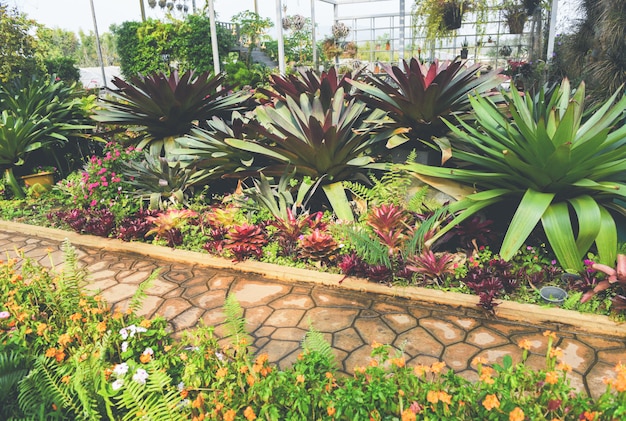 Giardinaggio domestico e decorazione di ambienti interni di serre giardini segreti e moderne installazioni di giardinaggio