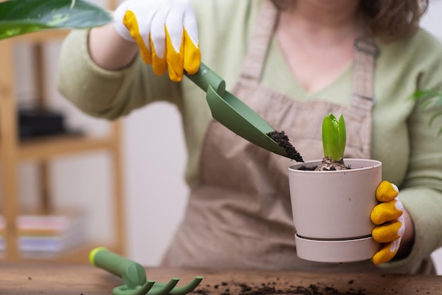 家庭菜園が趣味の女性 水やりや園芸道具を使った植え替えによる植物の手入れ