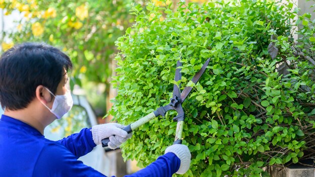 Home gardening when Lock down and Self-quarantine. Recreation activity at botanic garden during the Corona virus crisis. Stay home for relax and Social distancing.