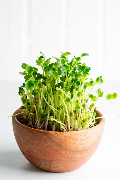 Home grown fresh organic microgreen in a wood bowl on light grey. Close-up view.