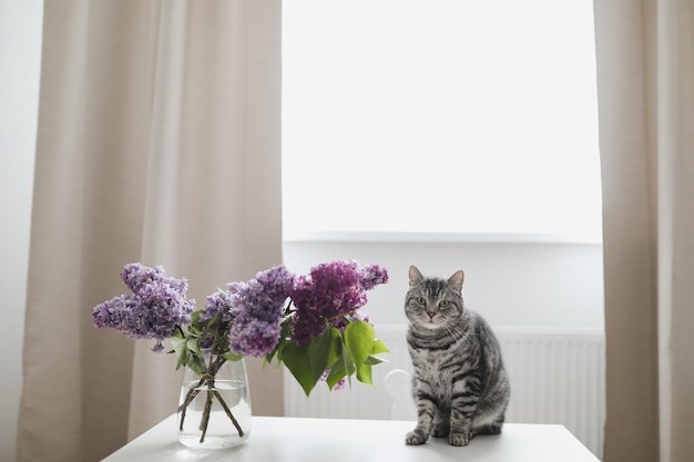 Home interior decor bouquet of lilacs in a vase and a cat at home