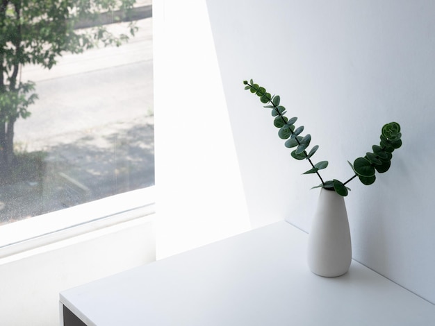 Home interior elegant floral vase decor soft white composition Beautiful green leaves branches in white tall vase on white wall background near glass window minimal style